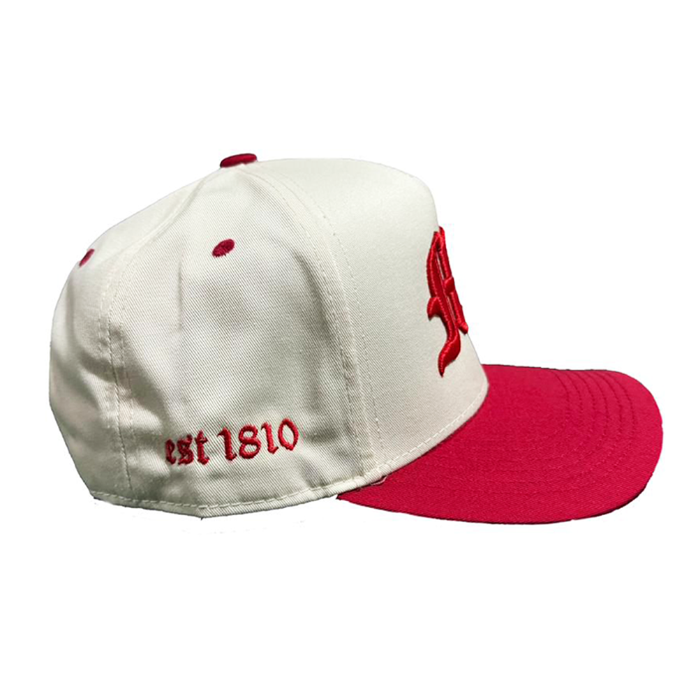 Gorra con Bordado 3D MX